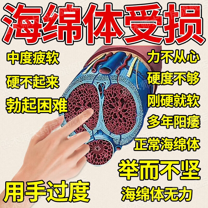 海绵体充血不足修复二次勃起困难发育专用纯中药治疗中途疲软硬度不够
