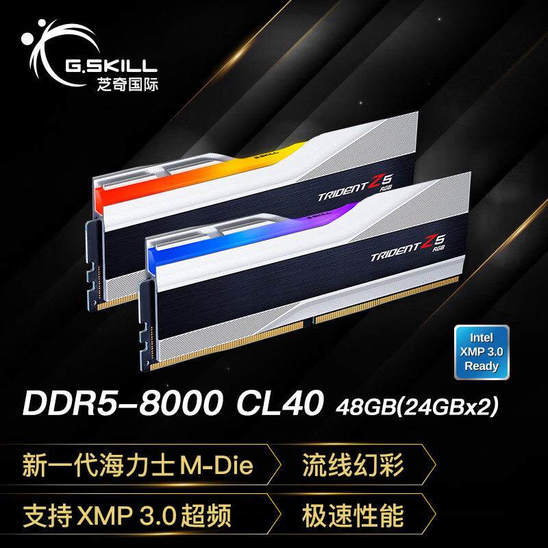 G.SKILL芝奇（G.SKILL）48GB(24Gx2) DDR5 8000 台式机内存条-幻锋戟RGB灯条(科技银)/Intel XMP/C40