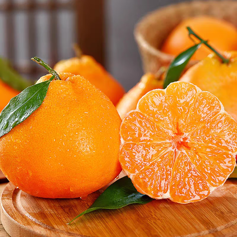 金百粟四川春见耙耙柑 当季新鲜水果粑粑柑生鲜丑桔橘子现摘整箱 净重4.5斤【80mm+】果农精选送礼