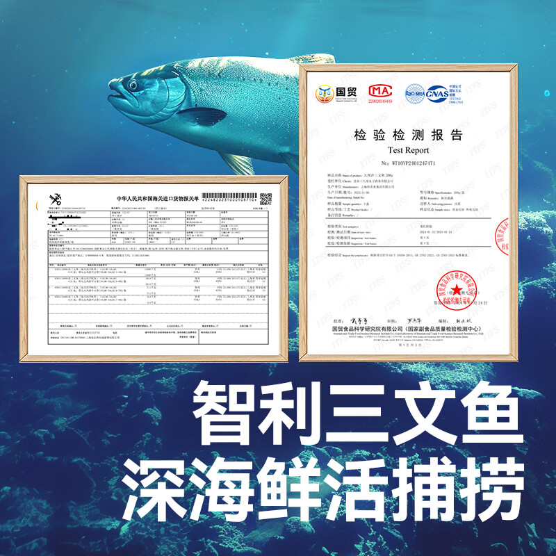 秋田满满冷链三文鱼冷冻去刺中段刺身鱼片鱼肠海鲜送宝宝儿童辅食谱 大西洋三文鱼三盒600g