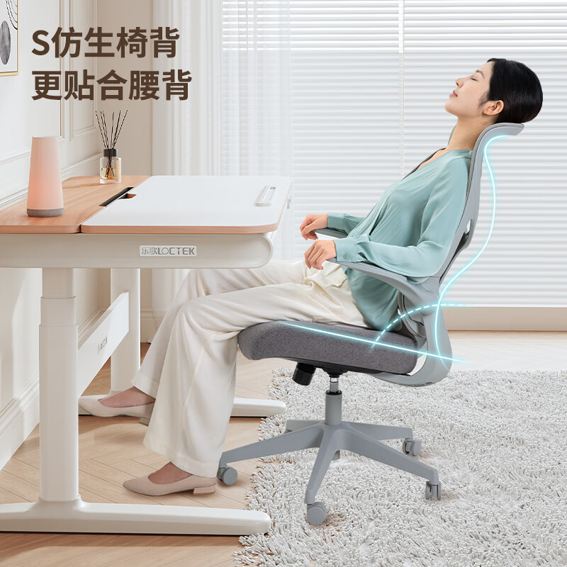 乐歌（Loctek）人体工学椅电脑办公椅子家用老板靠背转椅电竞椅 Y21人体工学椅云母灰