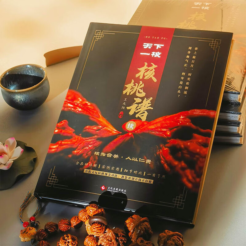 天下一核:核桃谱续 文玩核桃辨别把玩养护品种鉴定与选购收藏与鉴赏入门基础知识百科收藏指南图画集书籍京东618活动