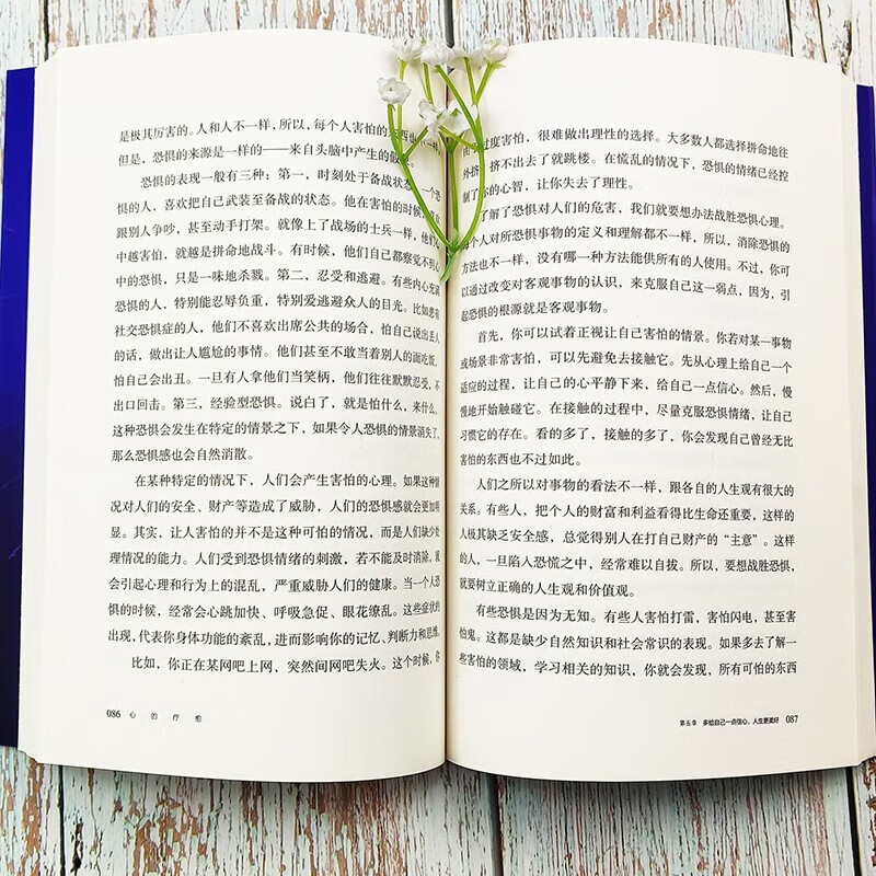 心的疗愈 心的重建和命运重建 情绪自救战胜焦虑积极心理学详情图