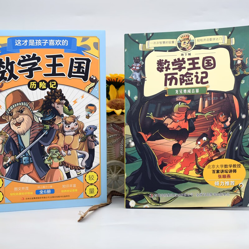 这才是孩子喜欢的数学王国历险记 （全六册）三四五六年级数学入门课外漫画书 北大老师推荐详情图