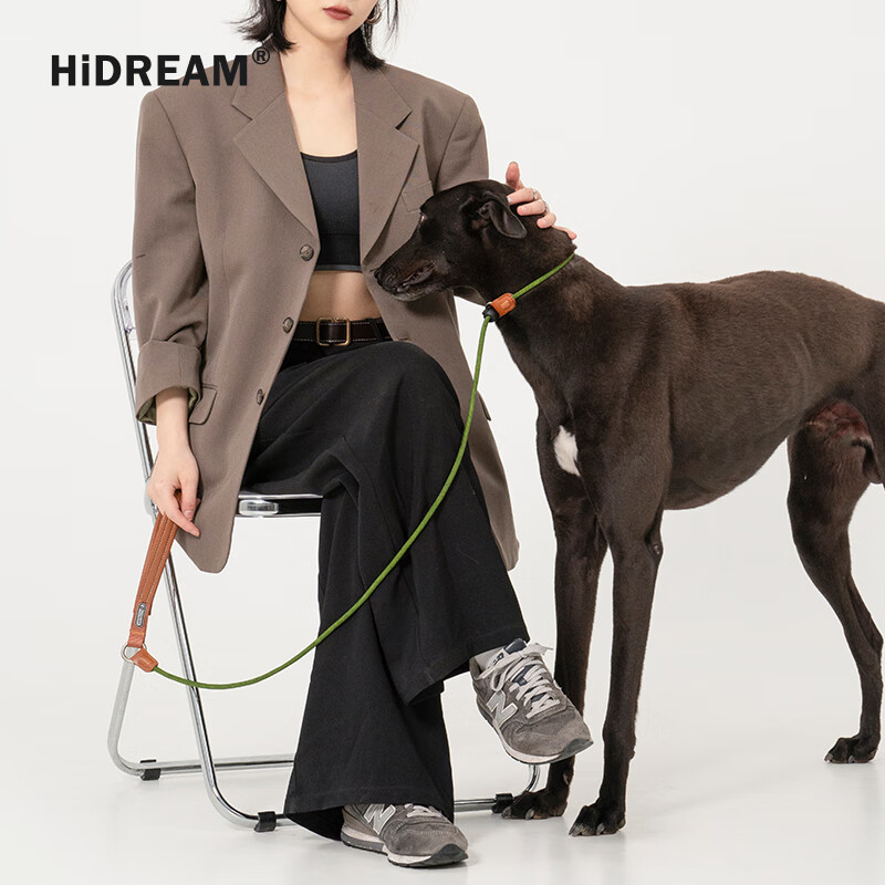 HIDREAM皮革手柄牵引绳大型犬防爆冲加粗攀岩级P链赛级训练宠物遛狗绳 赛级加粗绳松石绿[180cm] 40kg内通用