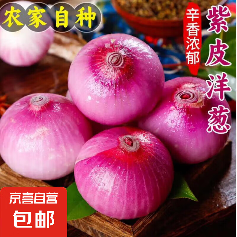 京喜加自营新鲜洋葱生鲜蔬菜水果紫洋葱即食凉拌大葱头 精选洋葱 500g