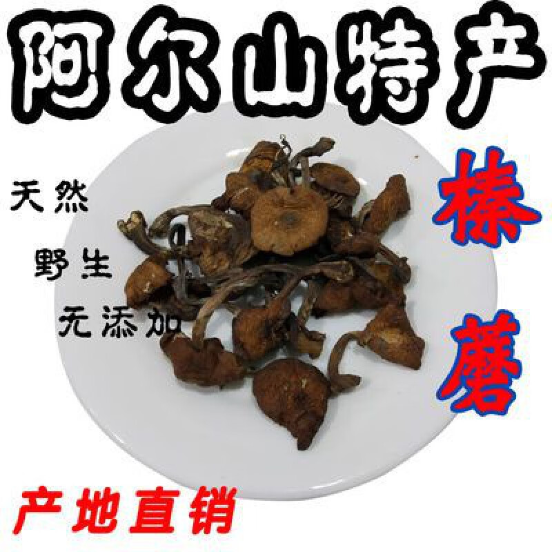 食怀阿尔山特产 榛蘑 干货 天然 纯野生 食用菌 蘑菇 内蒙古特产 500g