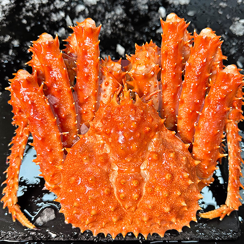 帝王蟹鲜活熟冻海鲜大礼包智利螃蟹帝皇蟹皇帝蟹年货礼盒送礼水产 帝王蟹2.4-2.8斤/礼盒装/肉多