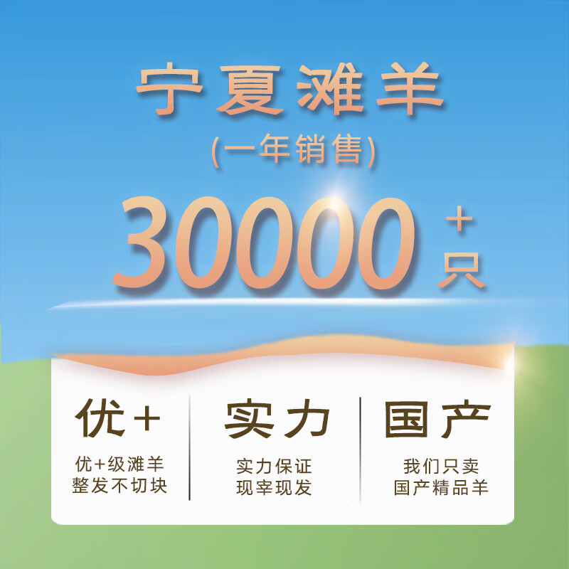 午羊 宁夏滩羊肉 生鲜 原切单肋法式羊排羊肉串 战斧肋排 西餐烧烤食 法式羊排12支