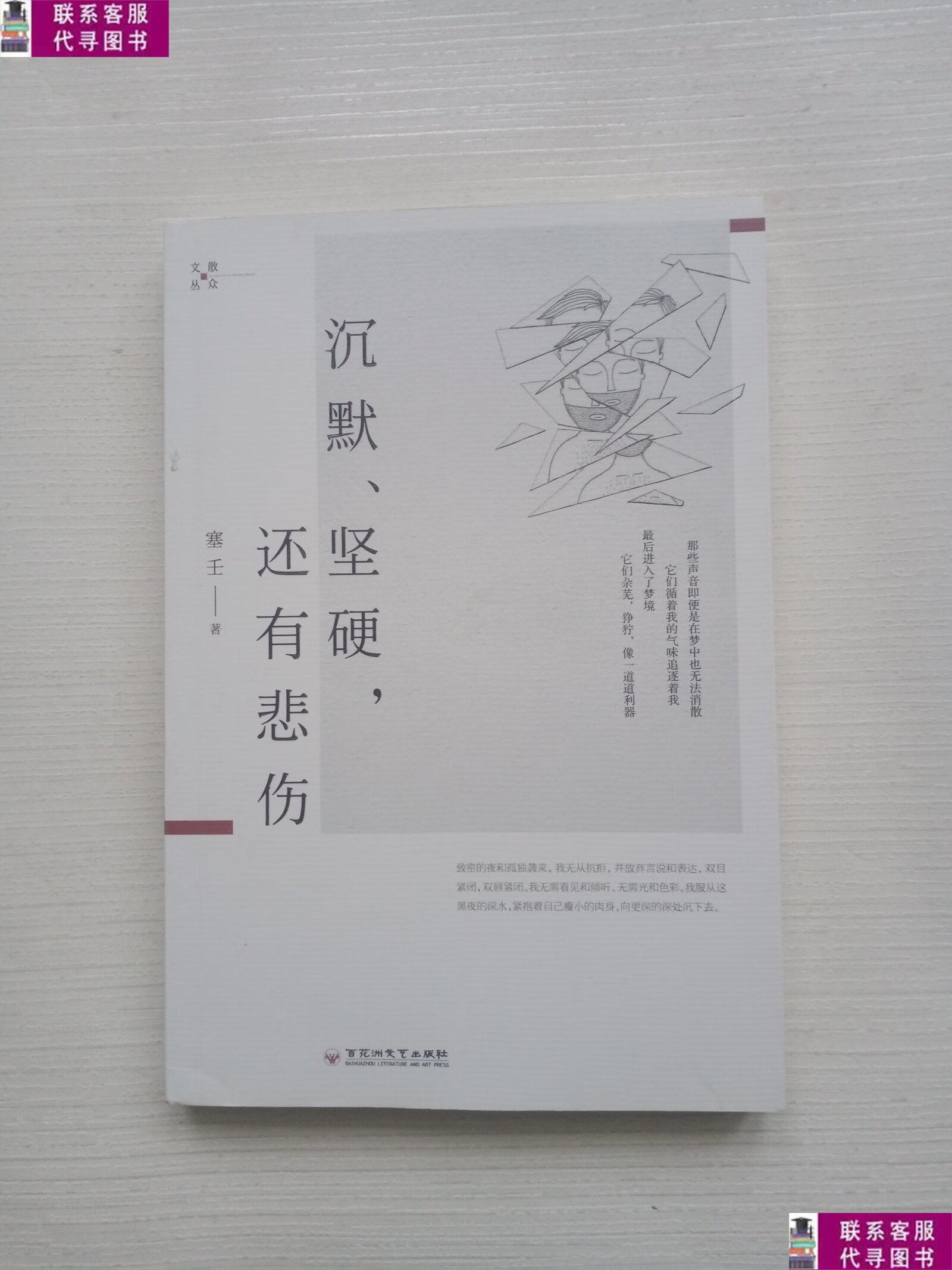 【二手9成新】沉默,坚硬,还有悲伤 /塞壬 百花洲文艺出版社