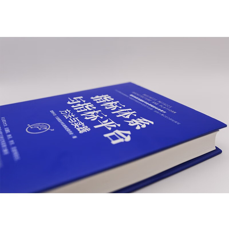 指标体系与指标平台：方法与实践详情图
