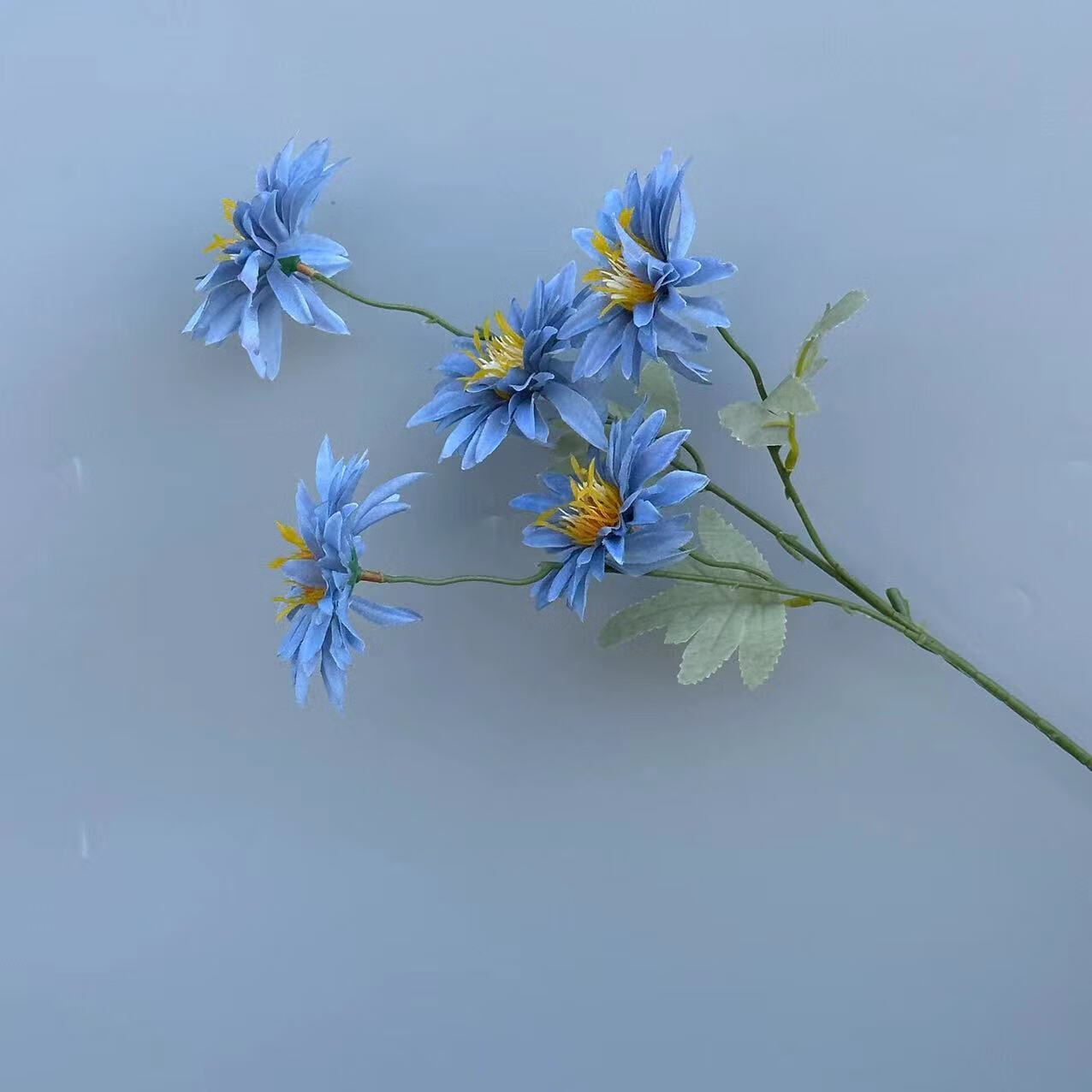 小雏菊花束洋甘菊餐桌假花插花摆设拍照装饰道具野餐绢花 蓝色小雏菊