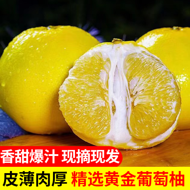 金百粟福建黄金葡萄柚 新鲜爆汁甜柚子当季时令生鲜水果西柚整箱 5斤净重4.5斤推荐装