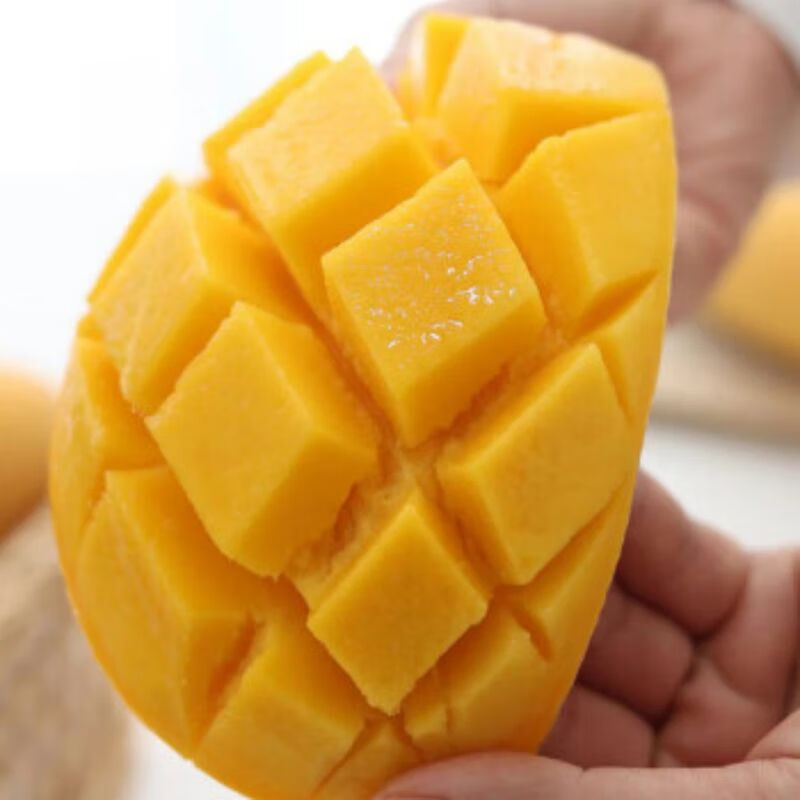 金煌芒果美食制作
