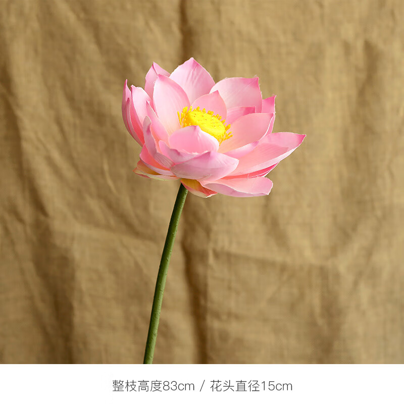 荷花粉色 (寓意好运莲莲)