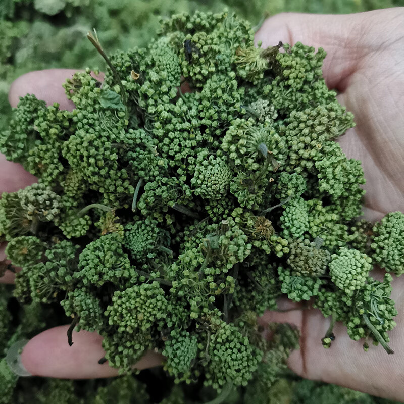 618活动入口三七花云南文山优质三七花精选田七花三七花茶2023年新花