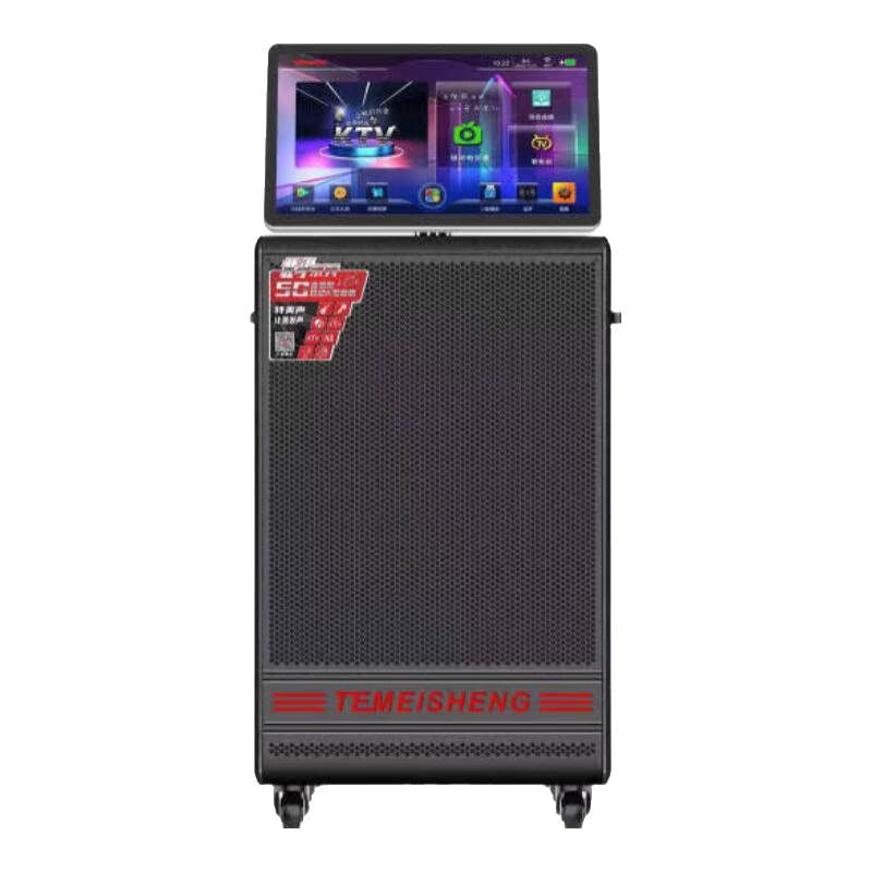 特美声QX3-15广场舞音响带显示屏家庭KTV视频一体机家用户外K歌网红直播路演移动蓝牙音箱点歌机 QX3-12吋+美声充电话筒*2