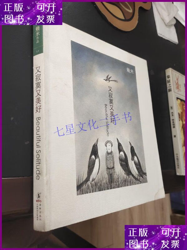 【二手9成新】又寂寞又美好