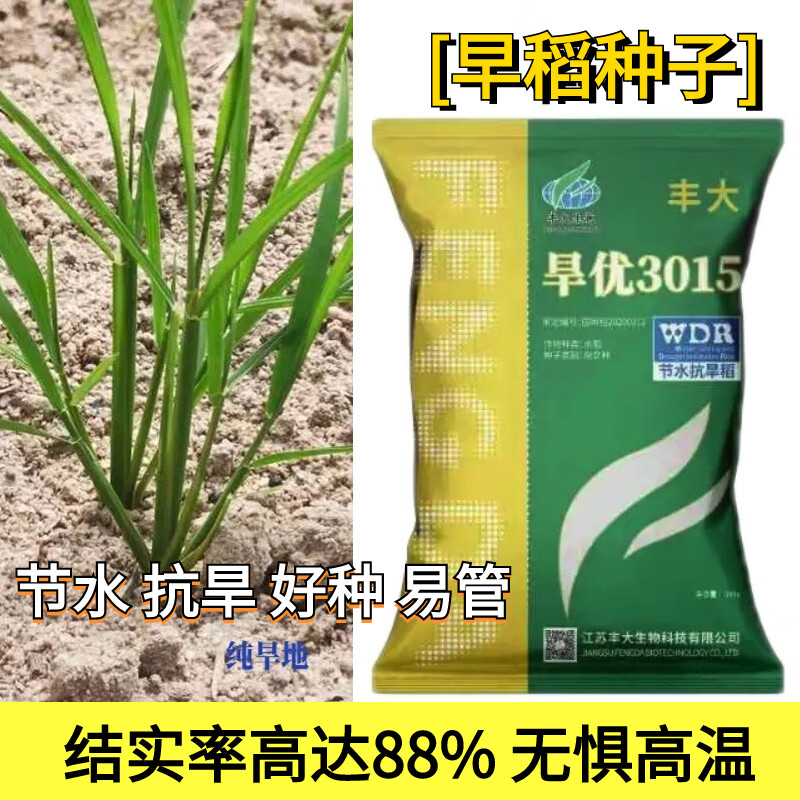 节水抗旱稻旱优3015水稻种子 旱稻专用耐热型好根系发达 旱优3015旱稻