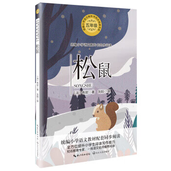 【全新送上门】松鼠