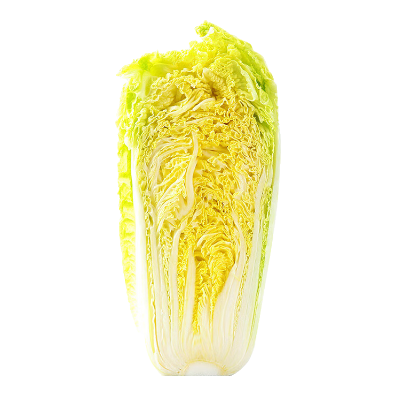 旭耕 有機大白菜 山東膠東新鮮有機蔬菜黃心大白菜 火鍋食材 1000g