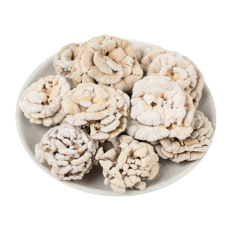 白參菌云南特產(chǎn)非野生菌子干貨裂褶菌白花白參菌蘑菇大整朵煲湯 白參菌1000克