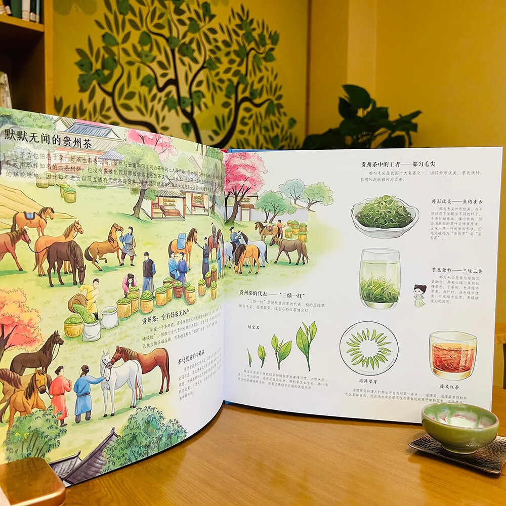 茶，一片树叶里的中国（全4册）传统文化幼小衔接寒假书单暑假书单启蒙科普自主阅读科普绘本亲子阅读 3-5岁小猛犸童书详情图