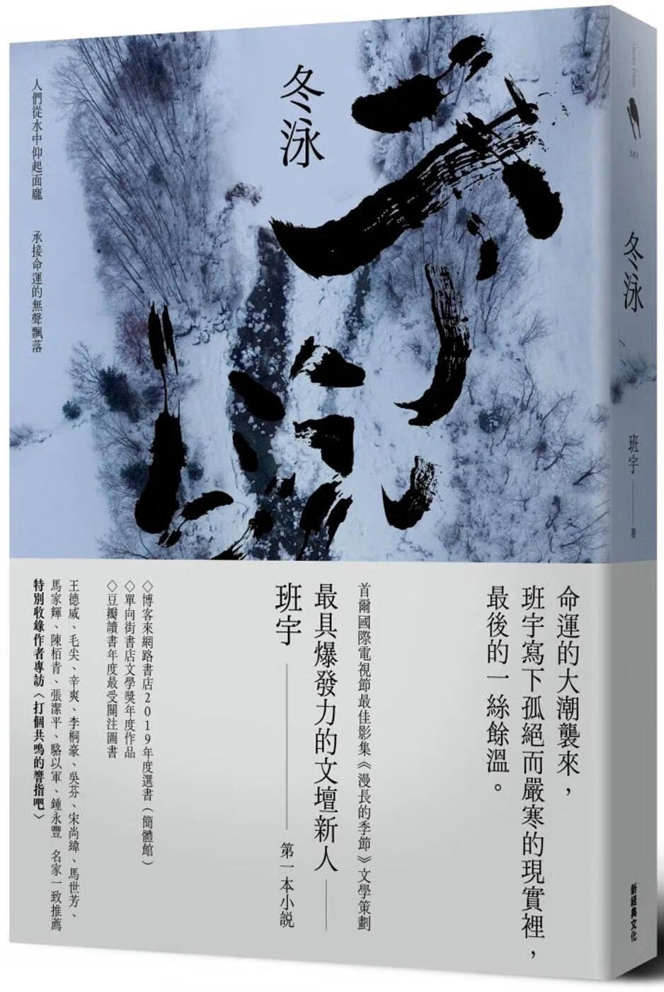 预售 冬泳 新经典文化 班宇