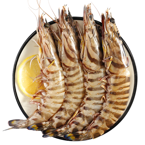 中水远洋进口塞拉利昂斑节虾活冻锁鲜海捕大虾净重2斤九节虾竹节虾30-40只