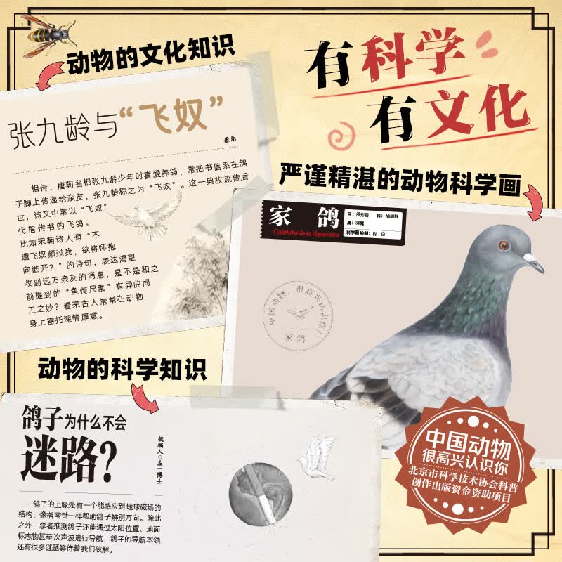 中国动物 很高兴认识你（全4册）（以“中国动物”为主题，专为中国儿童打造的自然百科通识绘本）详情图