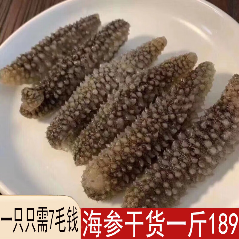 送鮑魚野生海參干貨孕婦級純野干散裝批發(fā)正宗黑刺參非即食海參 黑刺參干貨100g約3到4厘米