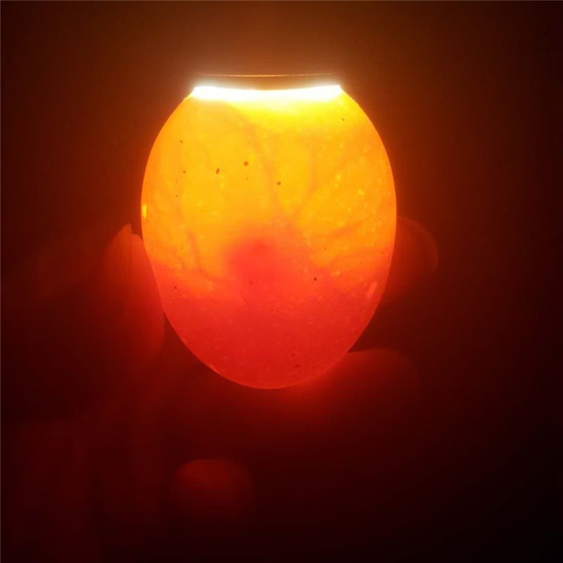 纯种绿头肉麻鸭受精卵可孵化种蛋柯尔宠物小黄鸭大种高产绿壳鸭蛋 5现