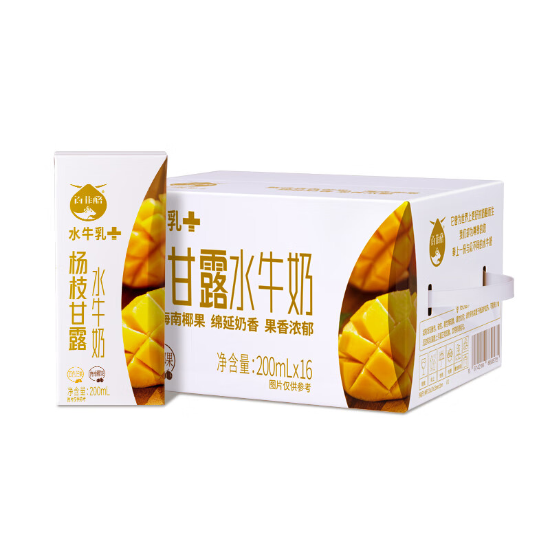 百菲酪红枣枸杞风味乳牛奶饮品调制乳200ml*16盒营养早餐牛奶整箱 杨