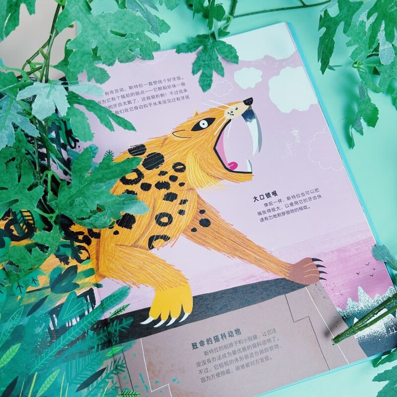 猛犸象梅西的回忆录详情图