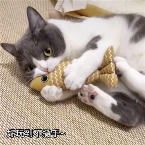 【精选】猫玩具自嗨解闷猫薄荷麻布仿真鱼幼猫磨牙猫咪小猫逗猫棒 【内含猫薄荷】 【枣红色+藏青色】