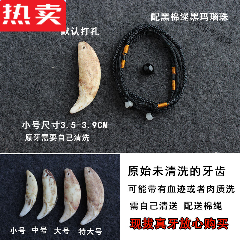 snqp黑狗牙 原牙狼牙吊坠男狗牙项链女儿童宝宝配饰本命年情 原牙小号