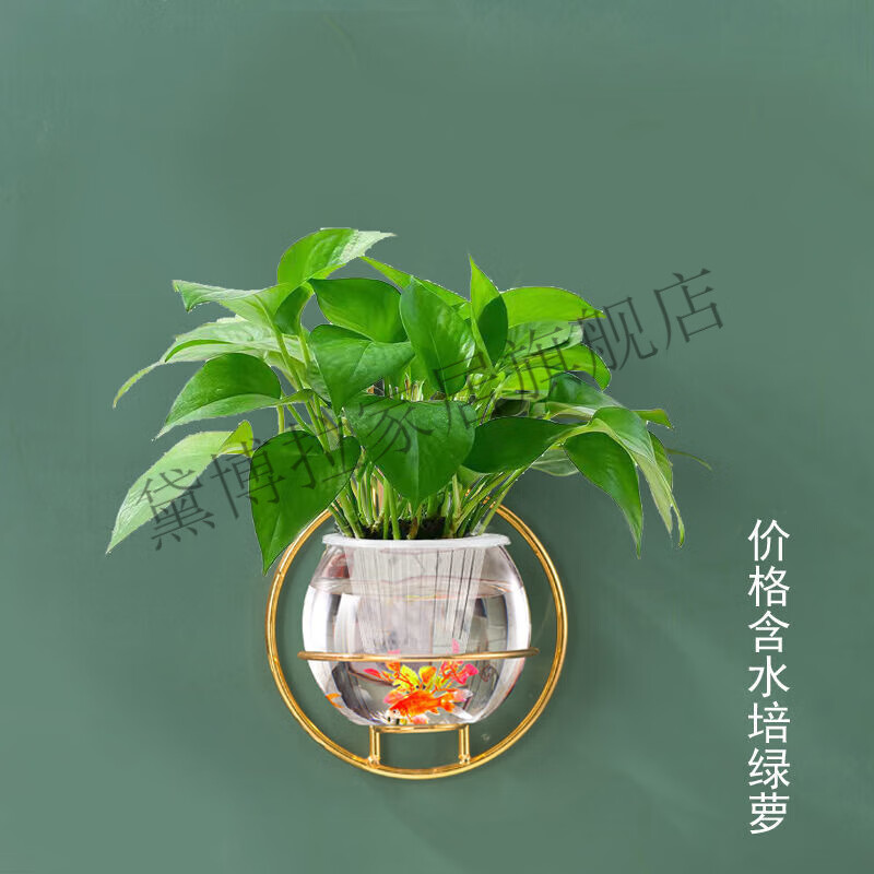 黛博拉高颜值免钉简约壁挂水培花瓶绿植迷你小花盆栽创意挂墙玻璃花瓶花 金属架+玻璃小瓶+绿萝+定植篮