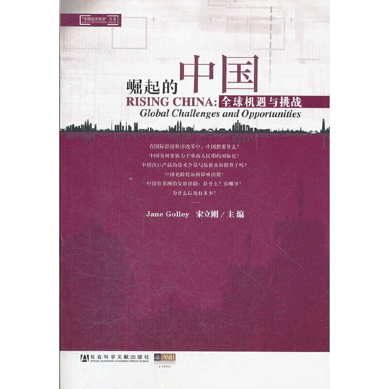 崛起的中国——全球机遇与挑战