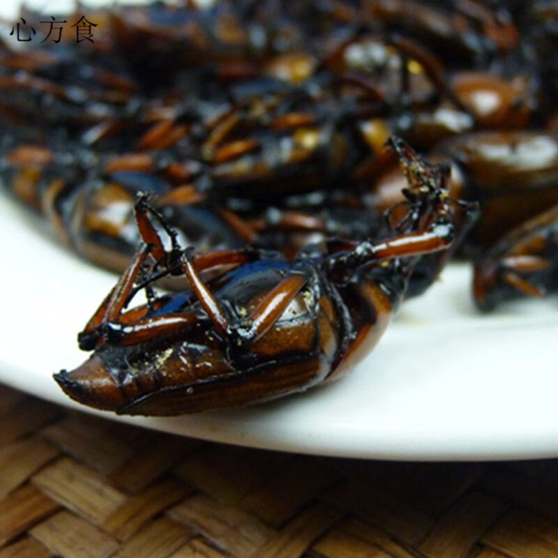 食怀即食昆虫油炸一字竹象虫食用竹笋象甲虫烧烤美味餐馆美食虫子小吃