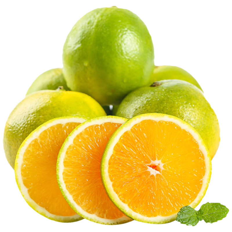 PLUS��Ա������ȯ������ �����ɽ ����� ������8.5�� ����70mm-80mm