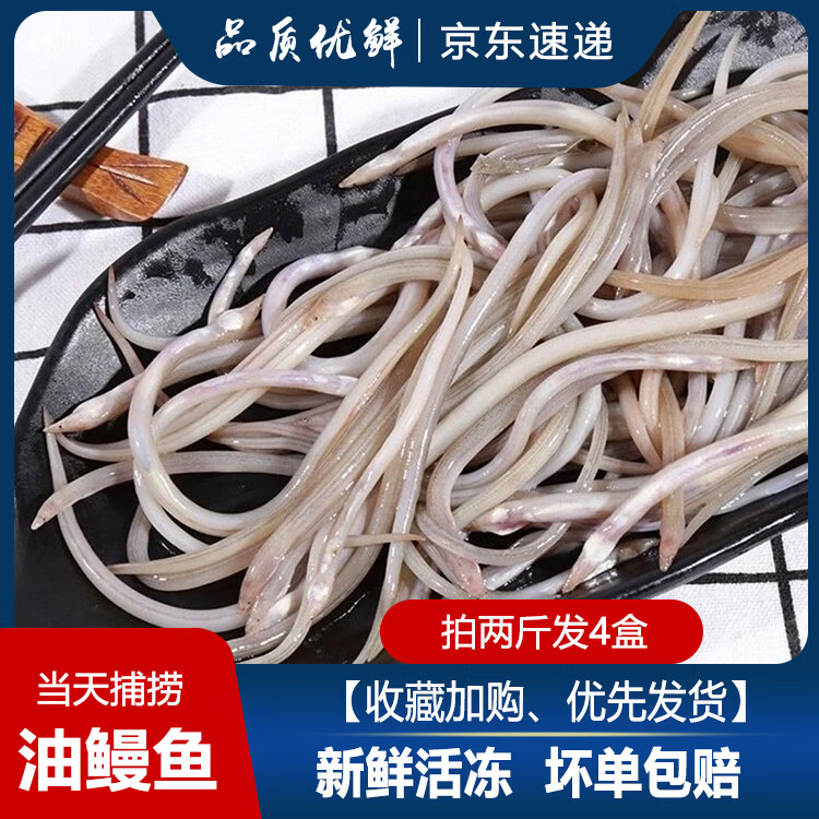 鳗鱼鲜活速冻两斤装筷子鱼油龙潮汕特产海鲜水产小沙鳗鱼 野生油筷鱼