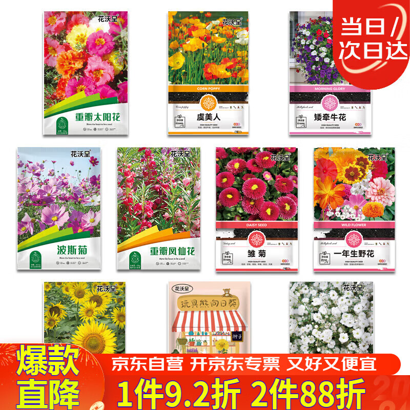 花沃里10款花种子套餐 花卉种子组合太阳花凤仙花向日葵四季种野花