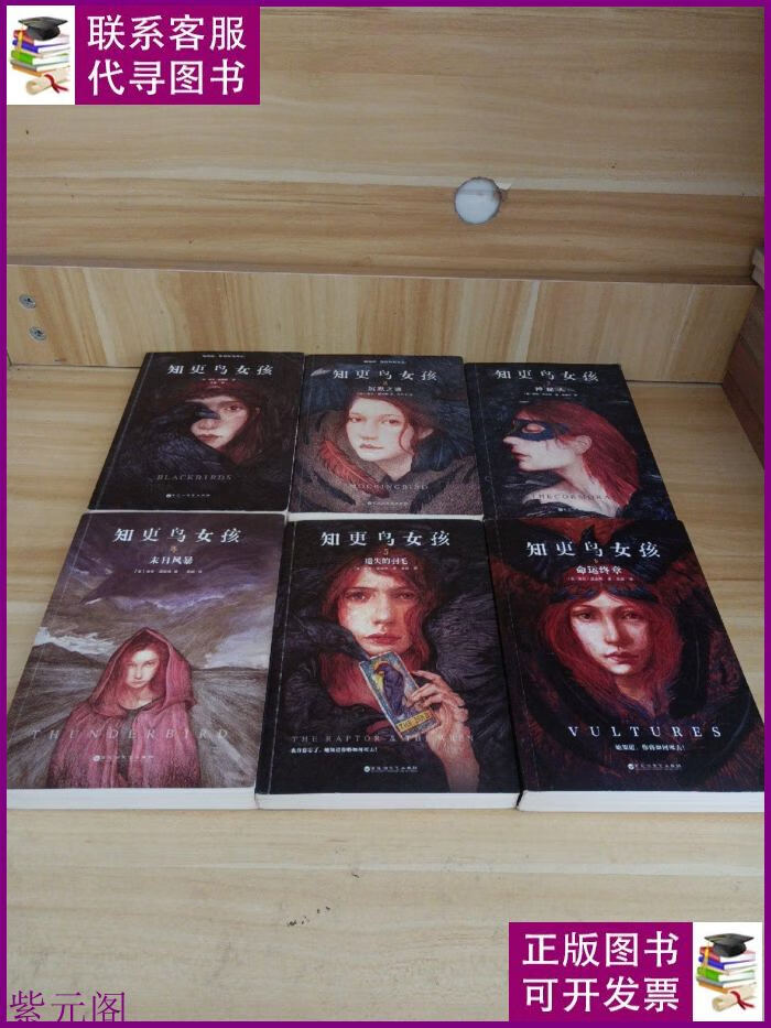 知更鸟女孩 1-6(全6册) 百花洲文艺出版社二手书