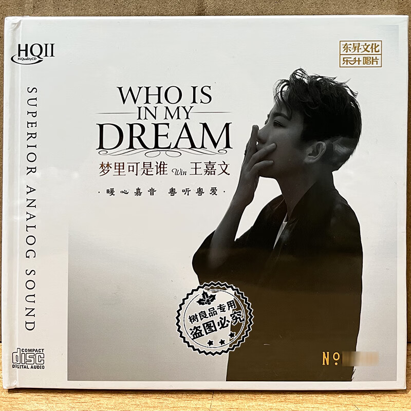 正版乐升唱片 王嘉文梦里可是谁 2024专辑女中音粤语cd hq2hqiicd 1cd