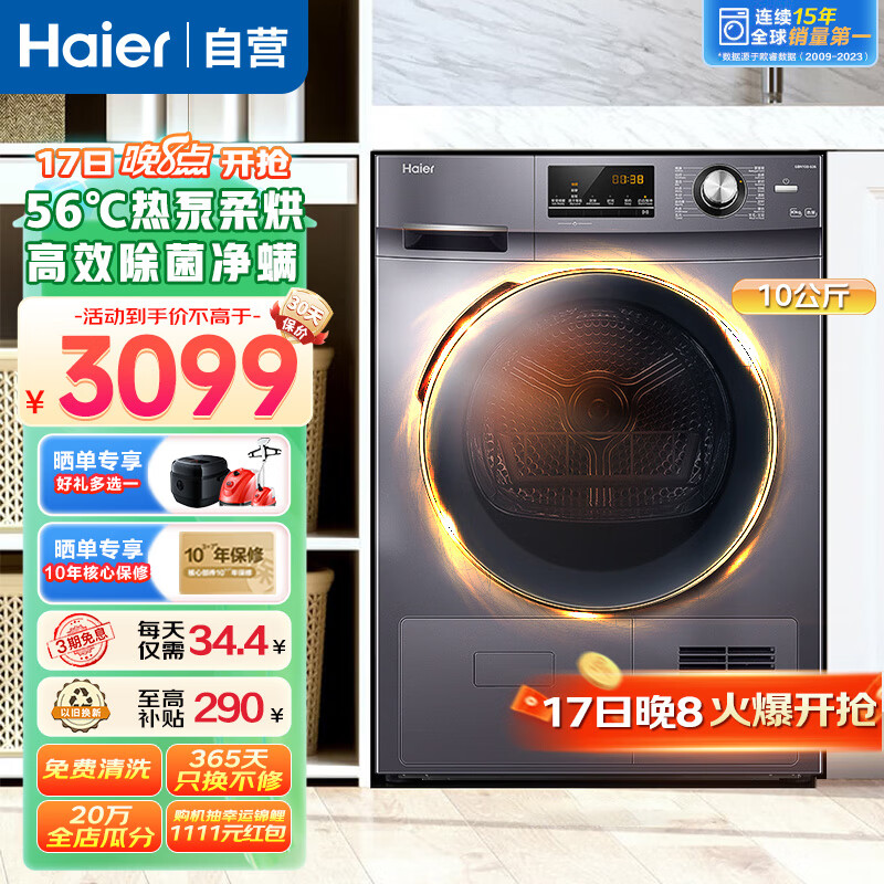 海尔（Haier）10KG热泵烘干机家用干衣机除菌滚筒式 正反转匀烘 衣干即停 免熨烫烘衣机 GBN100-636