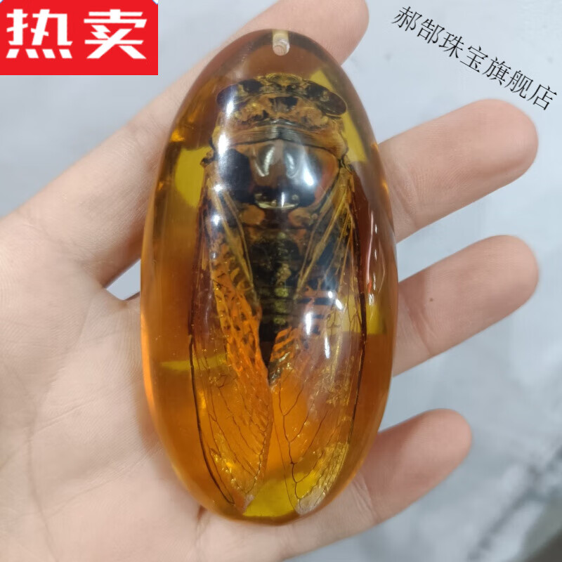 qkx香港潮牌手把件人造琥珀真昆虫标本吊坠人工虫珀学生观察蝴好看的