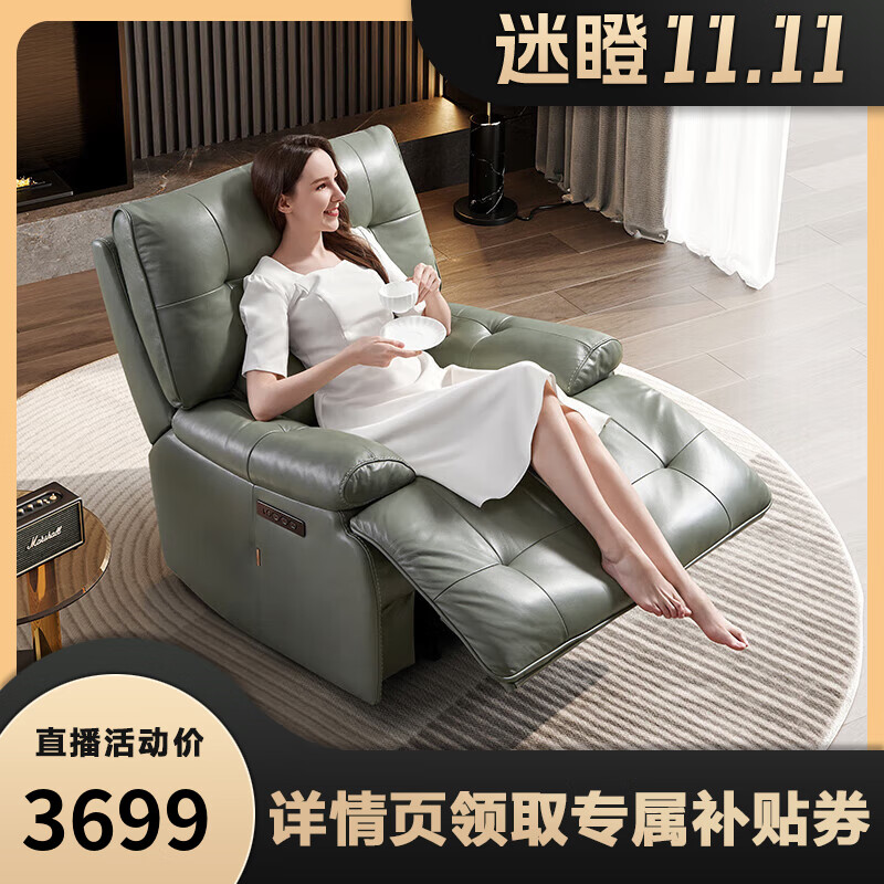 芝华仕（CHEERS）头等舱真皮沙发单人懒人电动功能休闲躺椅 70590 松叶绿属于什么档次？