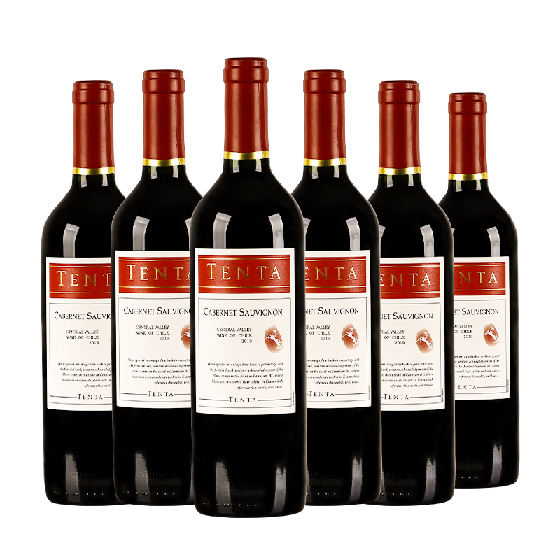 天帕（TENTA）智利中央山谷原瓶进口红酒赤霞珠干红葡萄酒红酒750ml送礼 【送开瓶器、礼袋】六瓶装
