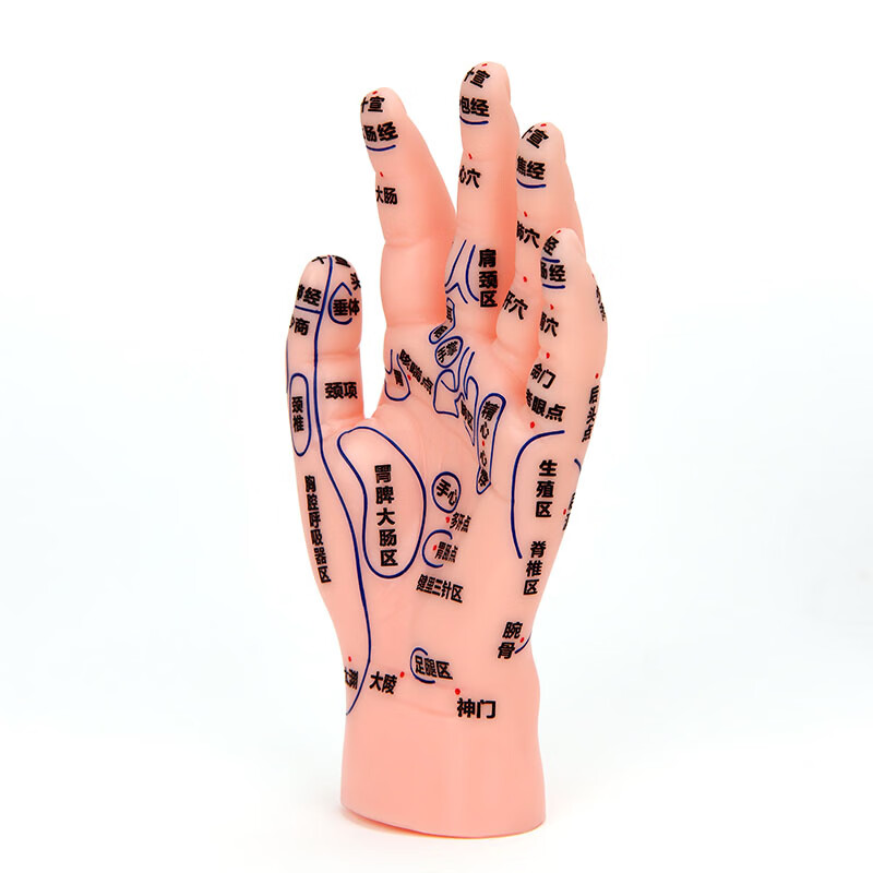 经络针灸中医位手图