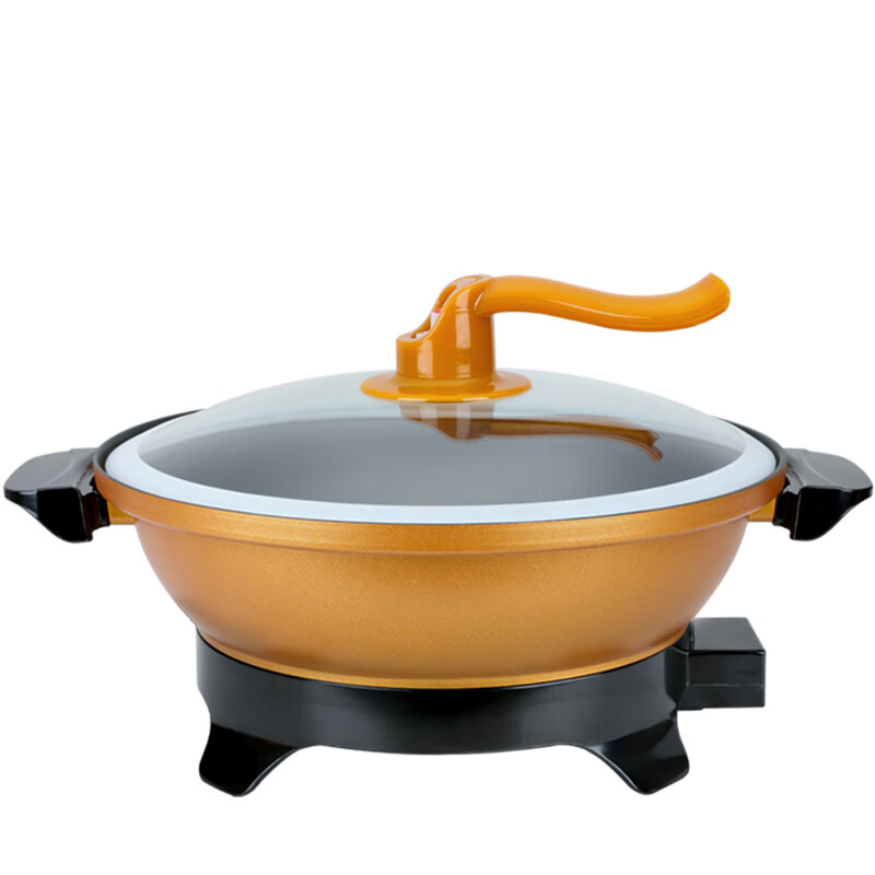 炖鱼专用锅10升多功能电热家用黄金元宝电炒火巴粥饭电煮真空养生 32